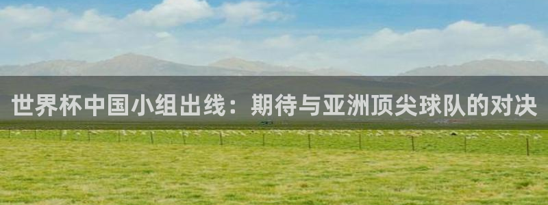 世界杯足球:世界杯中国小组出线:期待与亚洲顶尖球队的对决