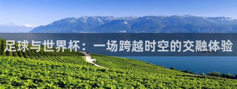 足球世界杯预选赛：足球与世界杯：一场跨越时空的交融体验