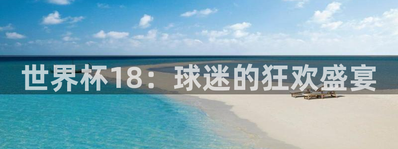 世界杯足球直播：世界杯18：球迷的狂欢盛宴
