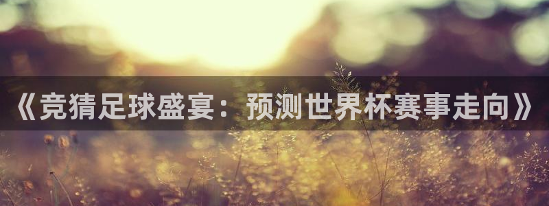 足球世预赛：《竞猜足球盛宴：预测世界杯赛事走向》