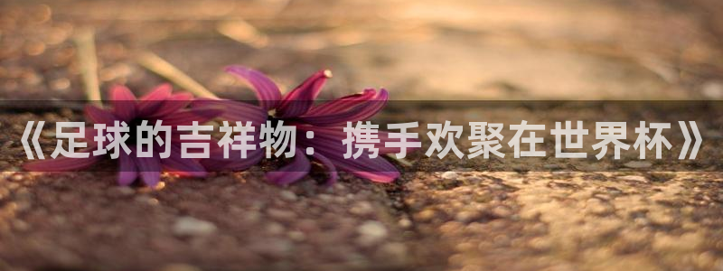 世界杯2026比赛时间表：《足球的吉祥物：携手欢聚在世界杯》