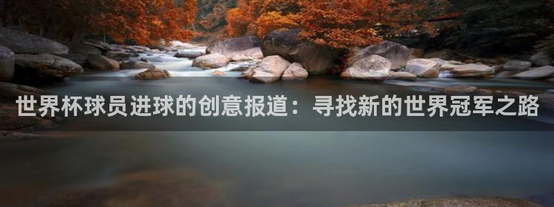 世界杯预选赛2026：世界杯球员进球的创意报道：寻找新的世界冠军之路