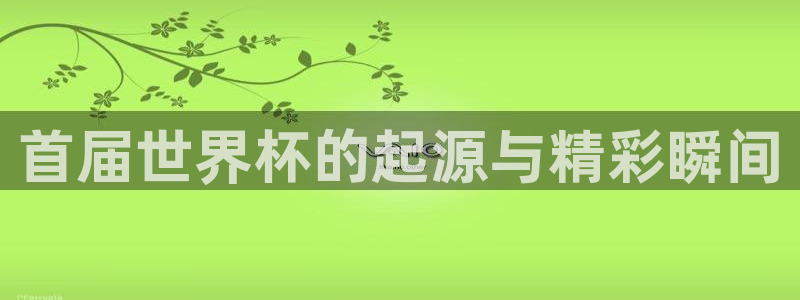 澳门世界杯直播：首届世界杯的起源与精彩瞬间