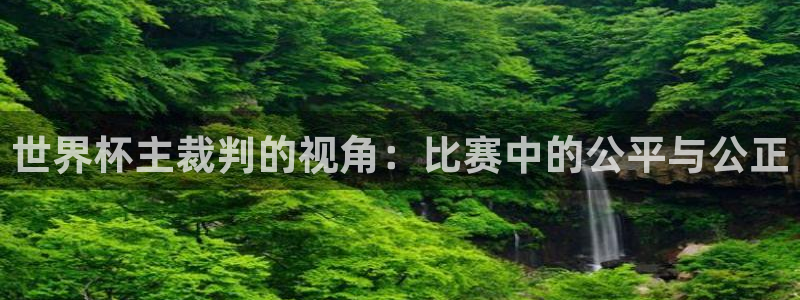 世界杯16强赛程表：世界杯主裁判的视角：比赛中的公平与公正