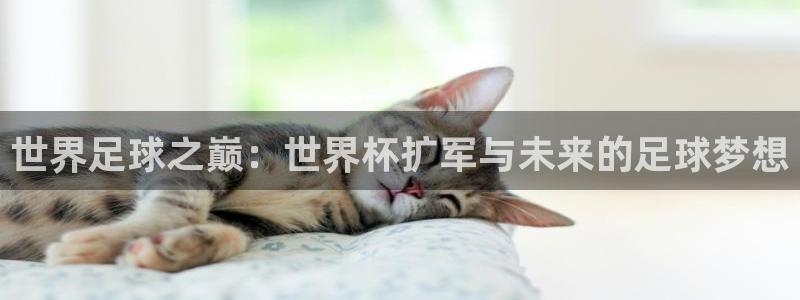 世界杯官网:世界足球之巅:世界杯扩军与未来的足球梦想