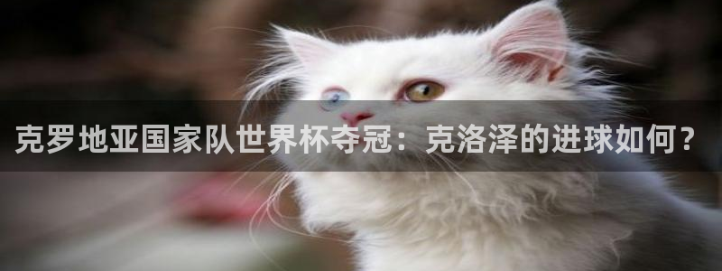 国际足联世界杯:克罗地亚国家队世界杯夺冠:克洛泽的进球如何?