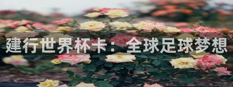 世界杯足球赛：建行世界杯卡：全球足球梦想