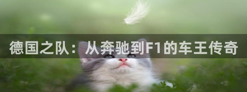 2026葡萄牙杯赛程表：德国之队：从奔驰到F1的车王传奇