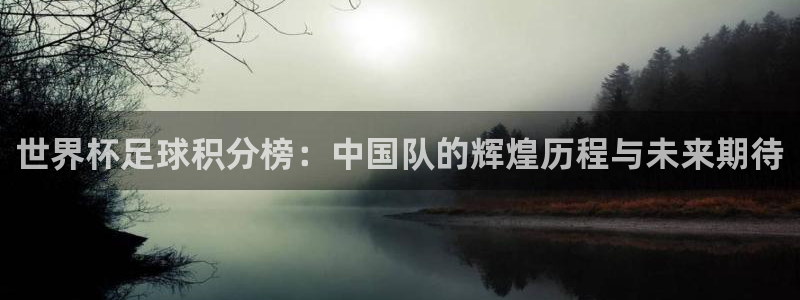 2026足球世界杯赛程：世界杯足球积分榜：中国队的辉煌历程与未来期待
